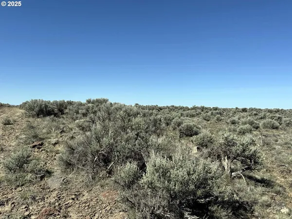 $65,000 | Browns Valley Road, Unit TL 1402, Christmas Valley, OR 97641