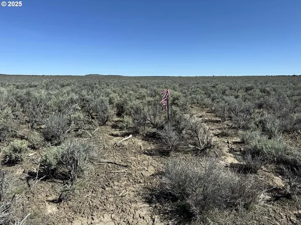 $65,000 | Browns Valley Road, Unit TL 1402, Christmas Valley, OR 97641