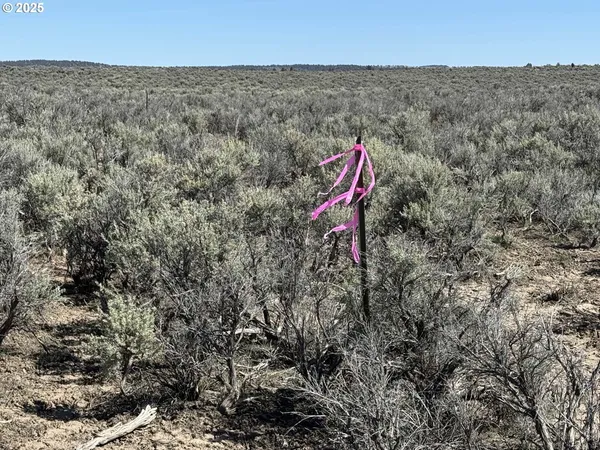 $65,000 | Browns Valley Road, Unit TL 1402, Christmas Valley, OR 97641