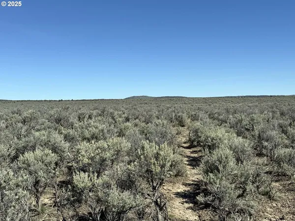 $65,000 | Browns Valley Road, Unit TL 1402, Christmas Valley, OR 97641