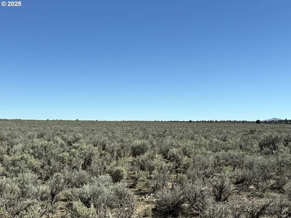 $65,000 | Browns Valley Road, Unit TL 1402, Christmas Valley, OR 97641
