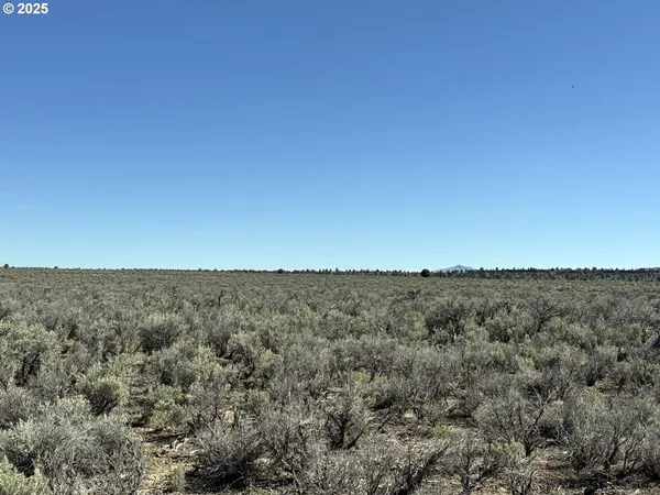 $65,000 | Browns Valley Road, Unit TL 1402, Christmas Valley, OR 97641