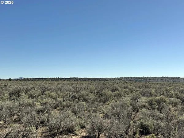 $65,000 | Browns Valley Road, Unit TL 1402, Christmas Valley, OR 97641