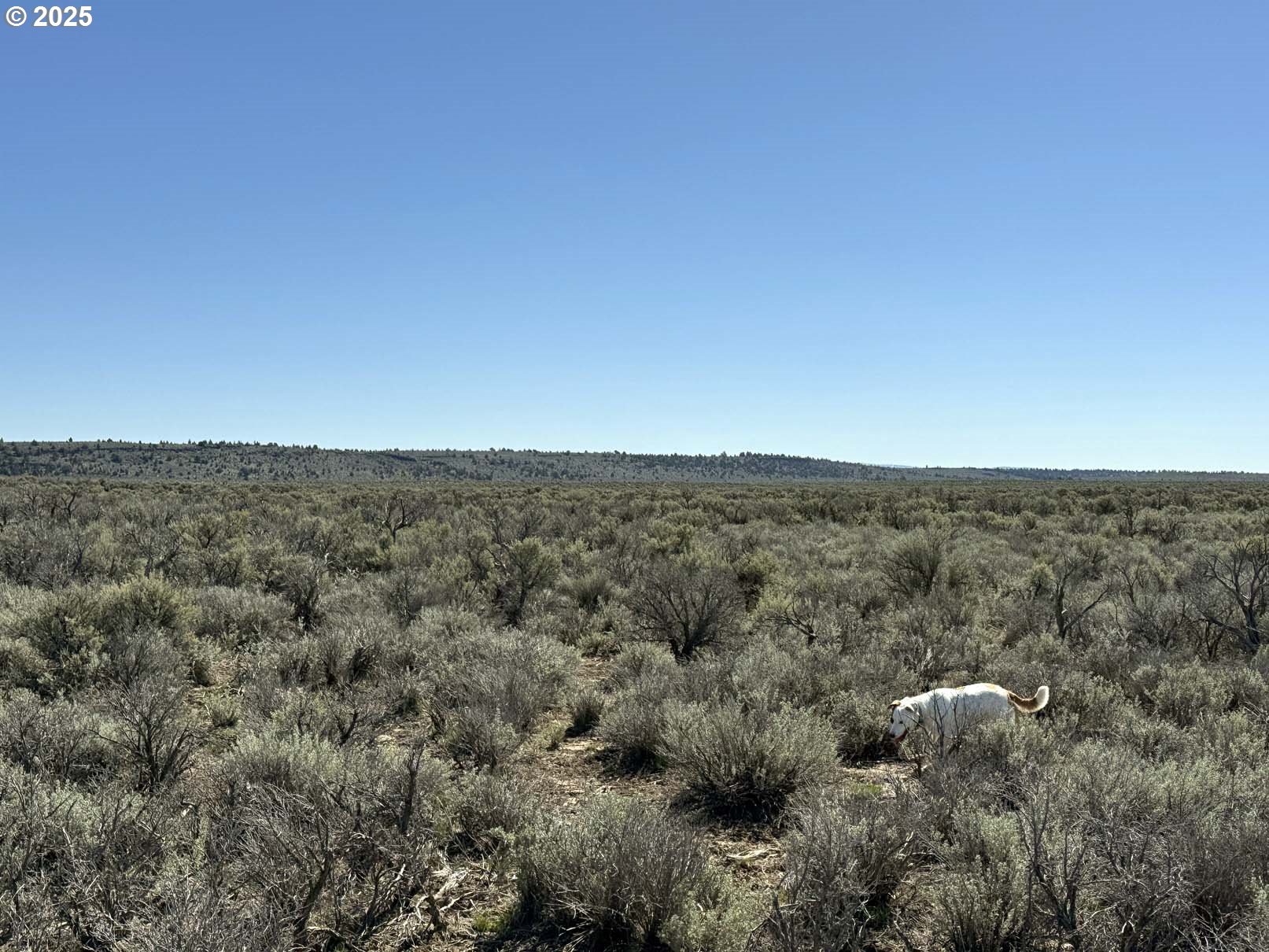 Browns Valley Road, Unit TL 1402 Christmas Valley, OR 97641 - Photo 19 of 34
