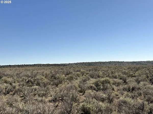 $65,000 | Browns Valley Road, Unit TL 1402, Christmas Valley, OR 97641
