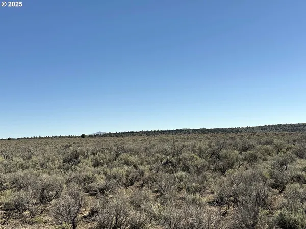 $65,000 | Browns Valley Road, Unit TL 1402, Christmas Valley, OR 97641
