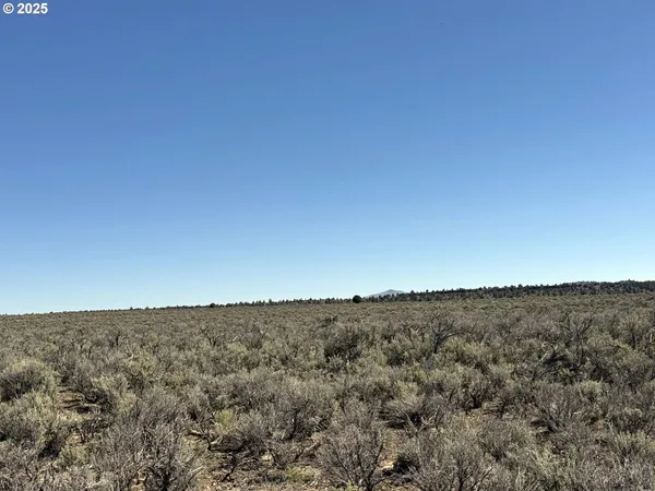 $65,000 | Browns Valley Road, Unit TL 1402, Christmas Valley, OR 97641