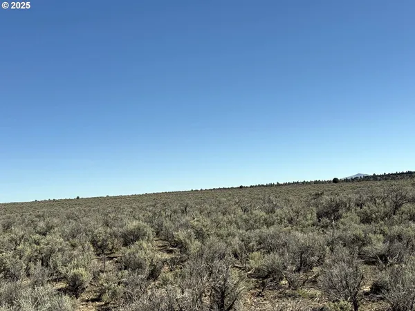 $65,000 | Browns Valley Road, Unit TL 1402, Christmas Valley, OR 97641