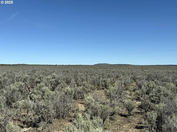 $65,000 | Browns Valley Road, Unit TL 1402, Christmas Valley, OR 97641