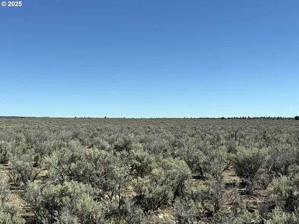 $65,000 | Browns Valley Road, Unit TL 1402, Christmas Valley, OR 97641