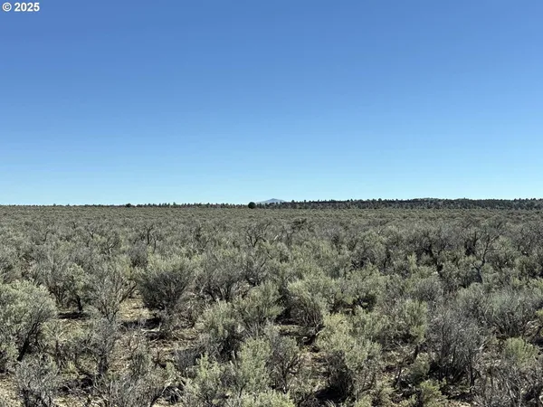 $65,000 | Browns Valley Road, Unit TL 1402, Christmas Valley, OR 97641