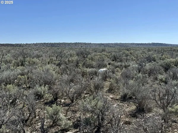 $65,000 | Browns Valley Road, Unit TL 1402, Christmas Valley, OR 97641