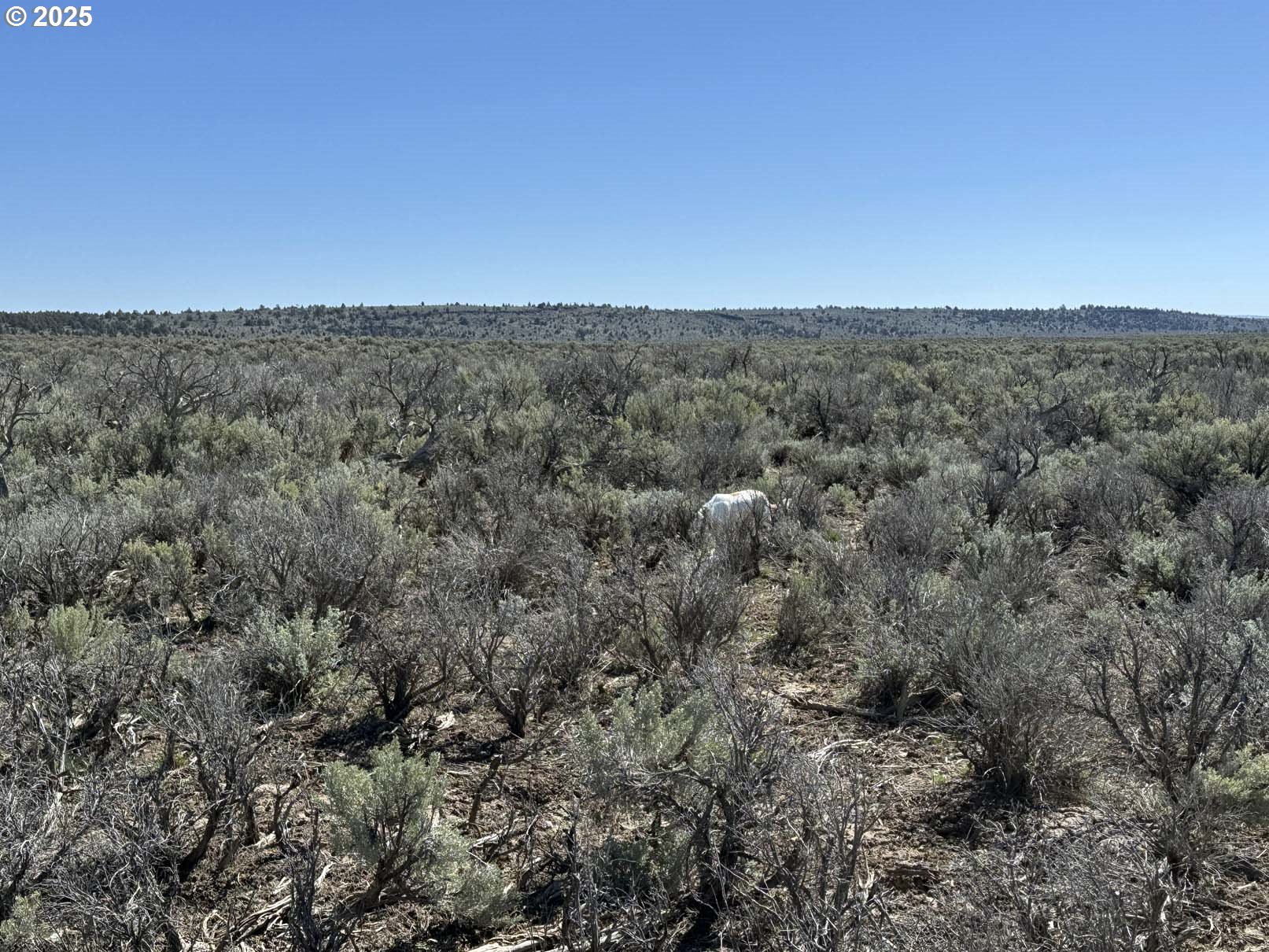 Browns Valley Road, Unit TL 1402 Christmas Valley, OR 97641 - Photo 28 of 34
