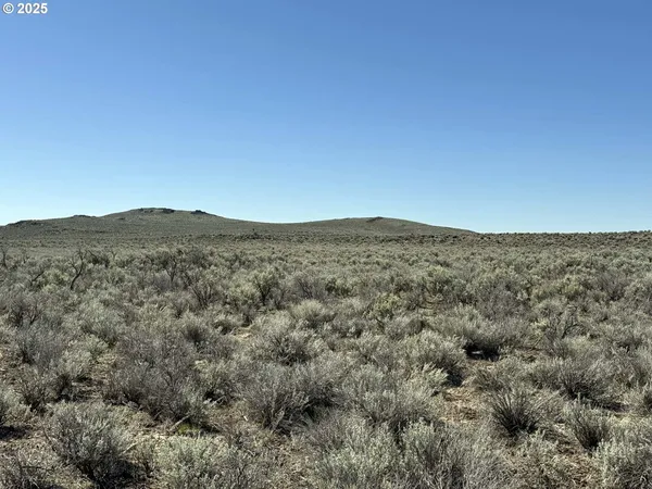 $65,000 | Browns Valley Road, Unit TL 1402, Christmas Valley, OR 97641