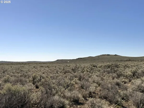 $65,000 | Browns Valley Road, Unit TL 1402, Christmas Valley, OR 97641