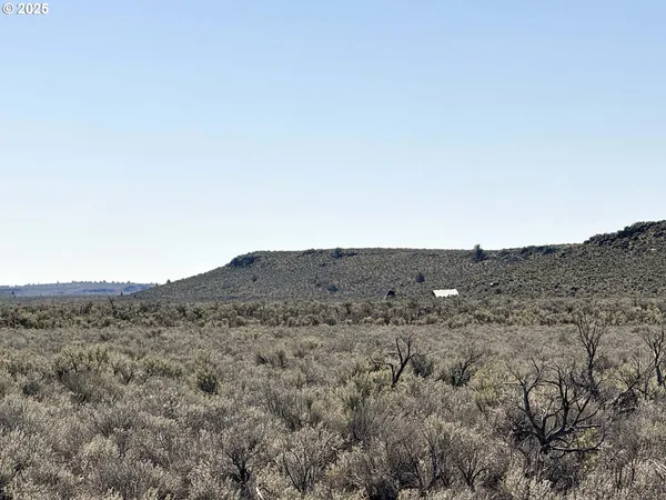 $65,000 | Browns Valley Road, Unit TL 1402, Christmas Valley, OR 97641