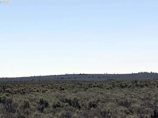 $65,000 | Browns Valley Road, Unit TL 1402, Christmas Valley, OR 97641