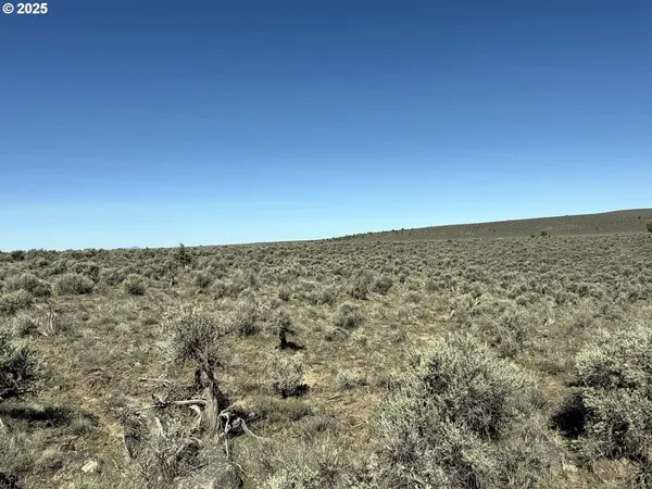 $65,000 | Browns Valley Road, Unit TL 1402, Christmas Valley, OR 97641