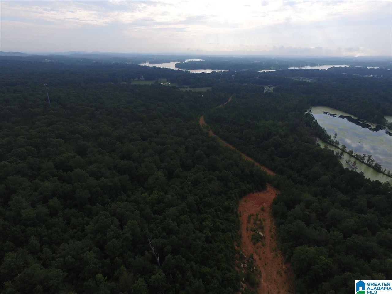 0 Morris Farms Drive Riverside, AL 35135 - Photo 7 of 18