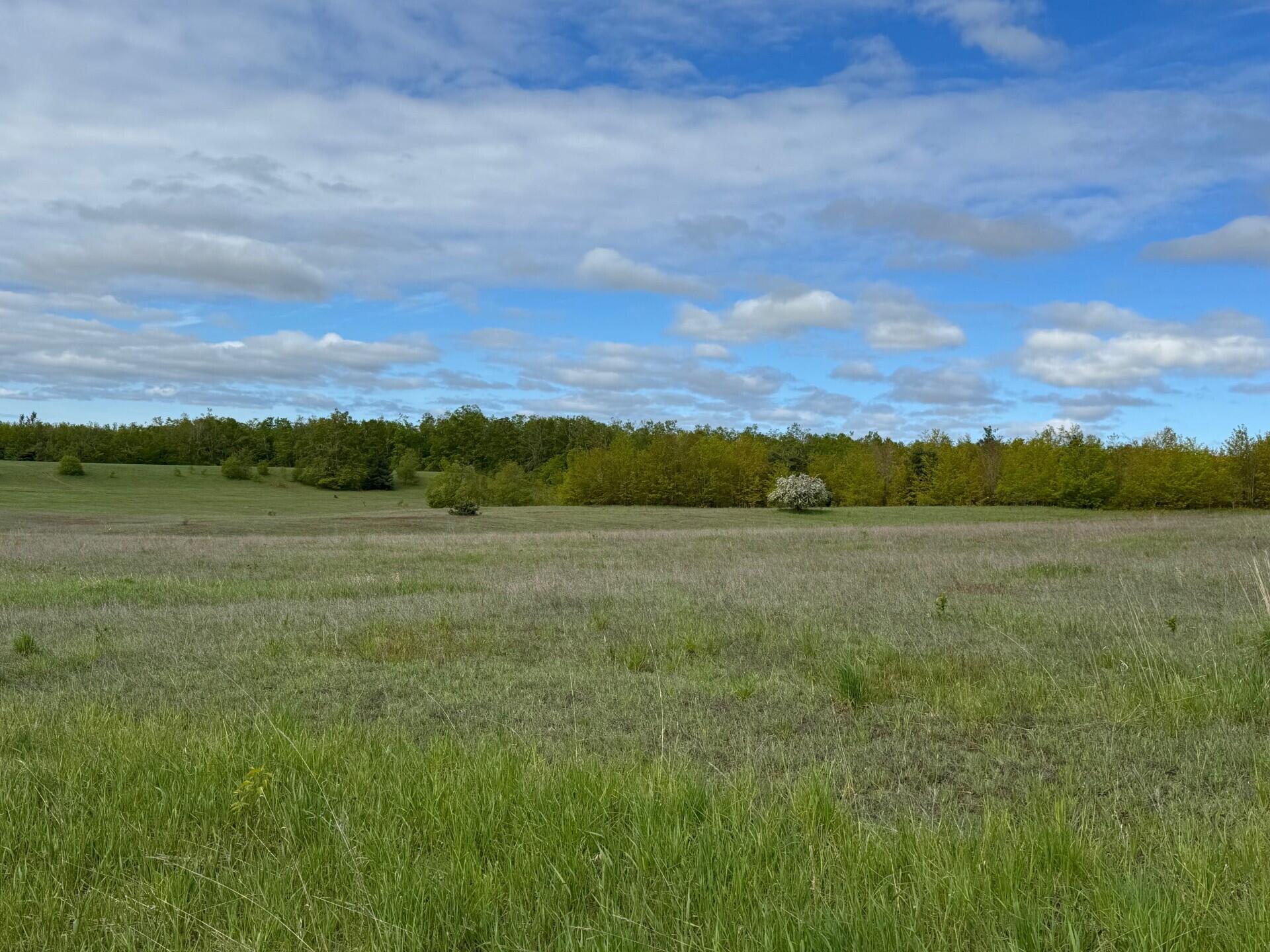 Nichols Road Pellston, MI 49769 - Photo 23 of 32