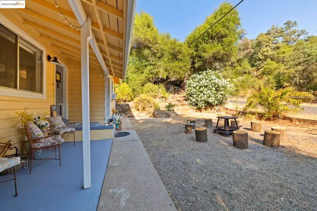 a view of a patio with couches and potted plants