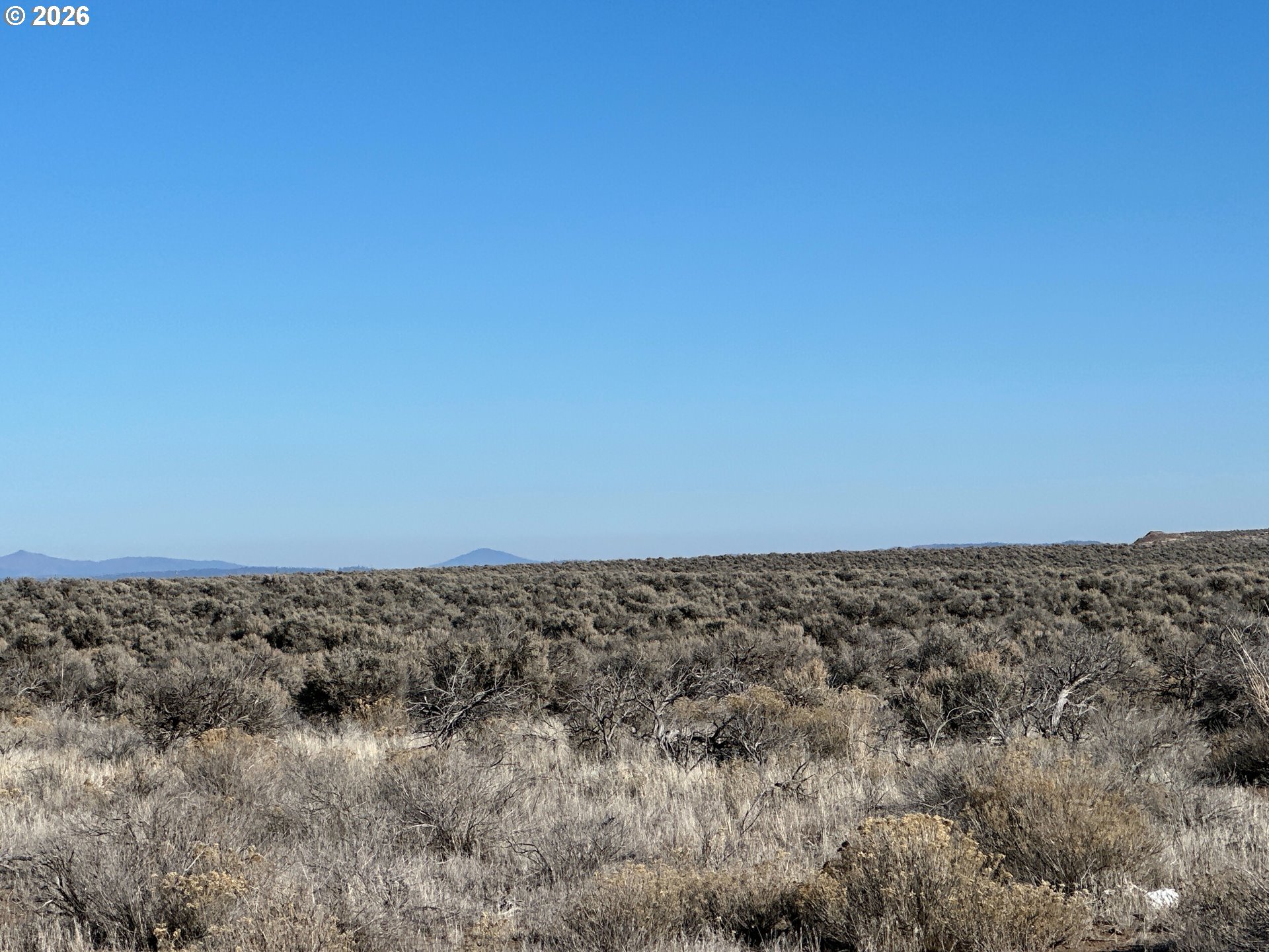South Fandango Road, Unit 2200 Christmas Valley, OR 97641 - Photo 23 of 37 a view of a dry field with trees in the background