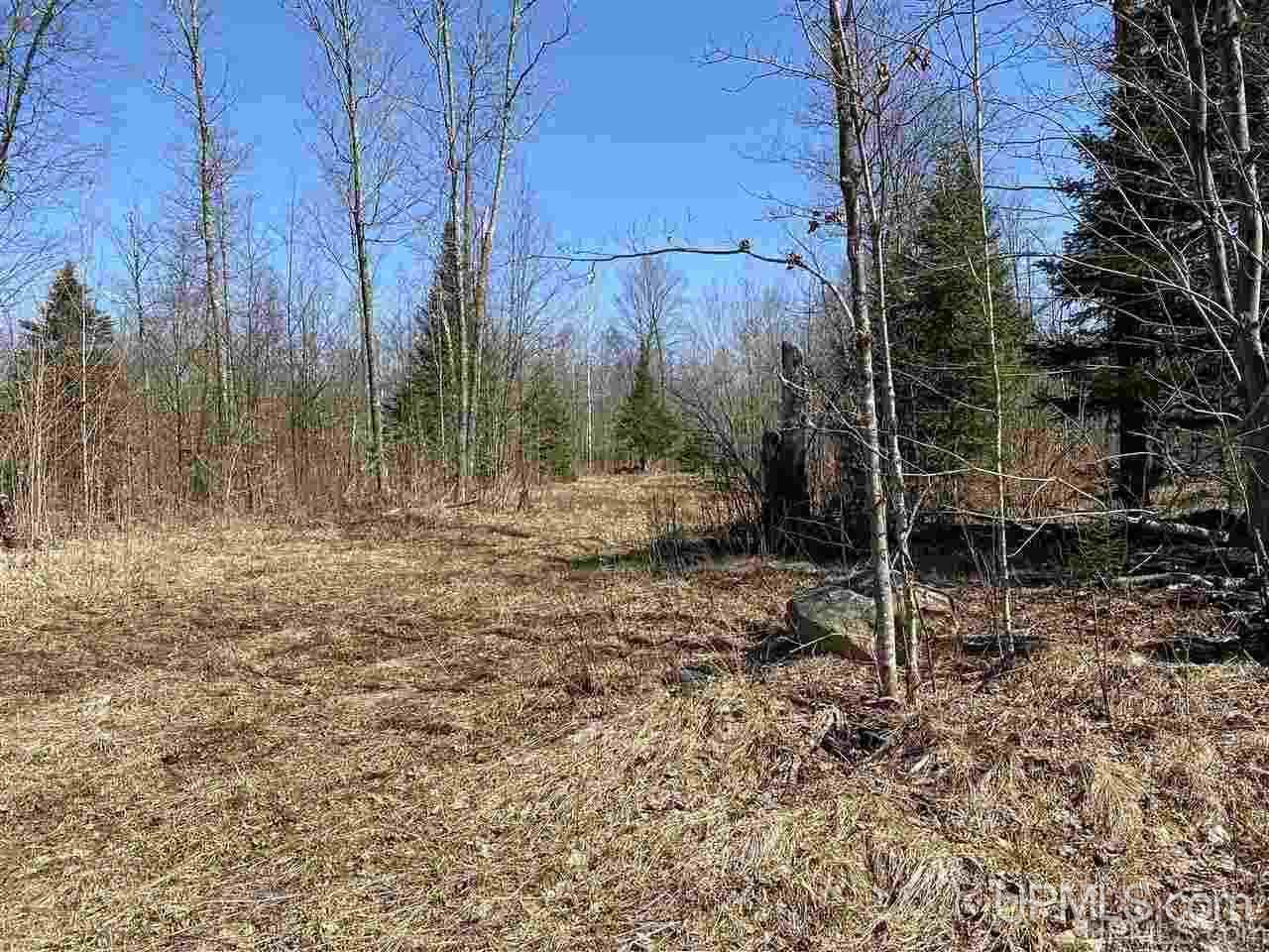 Off Nelson Road Glidden, WI 54527 - Photo 7 of 23