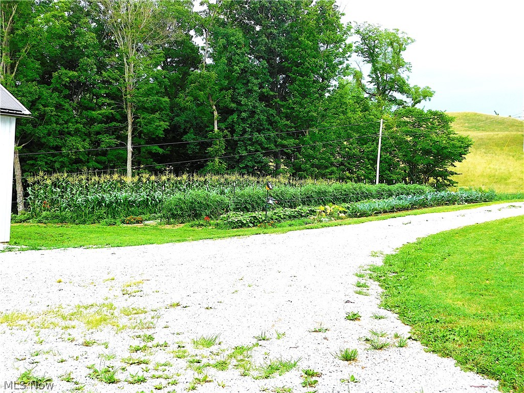 36800 Mann Ridge Road Jerusalem, OH 43747 - Photo 36 of 49