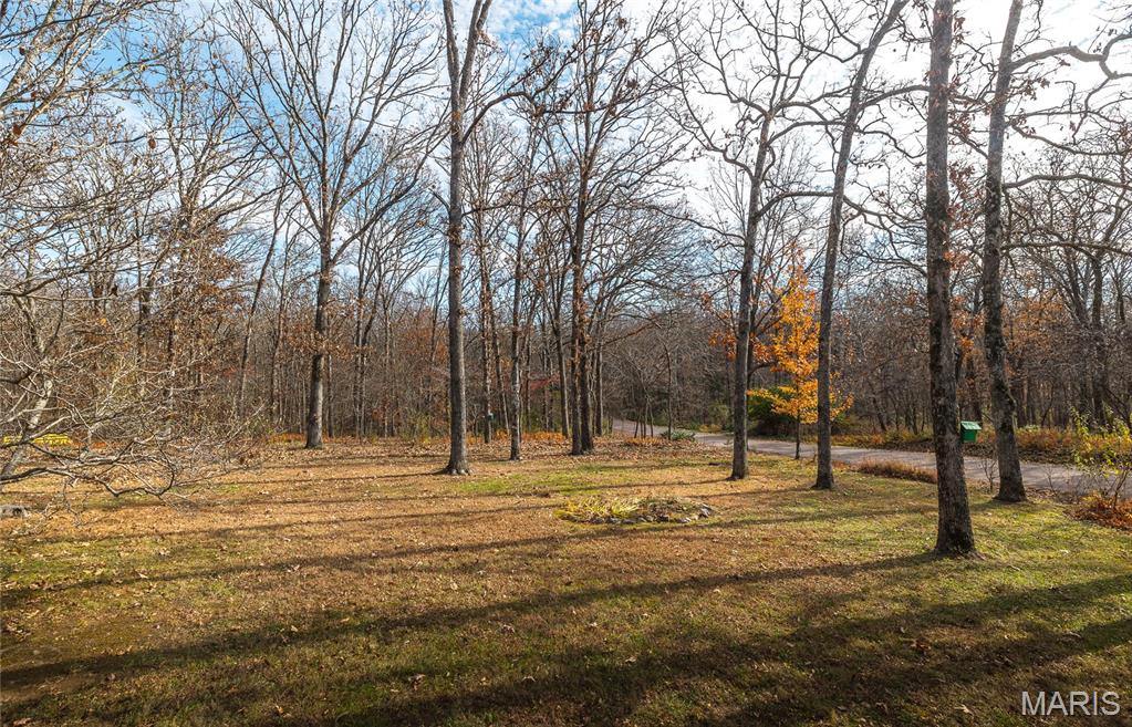 10815 Timber Drive Rolla, MO 65401 - Photo 46 of 55