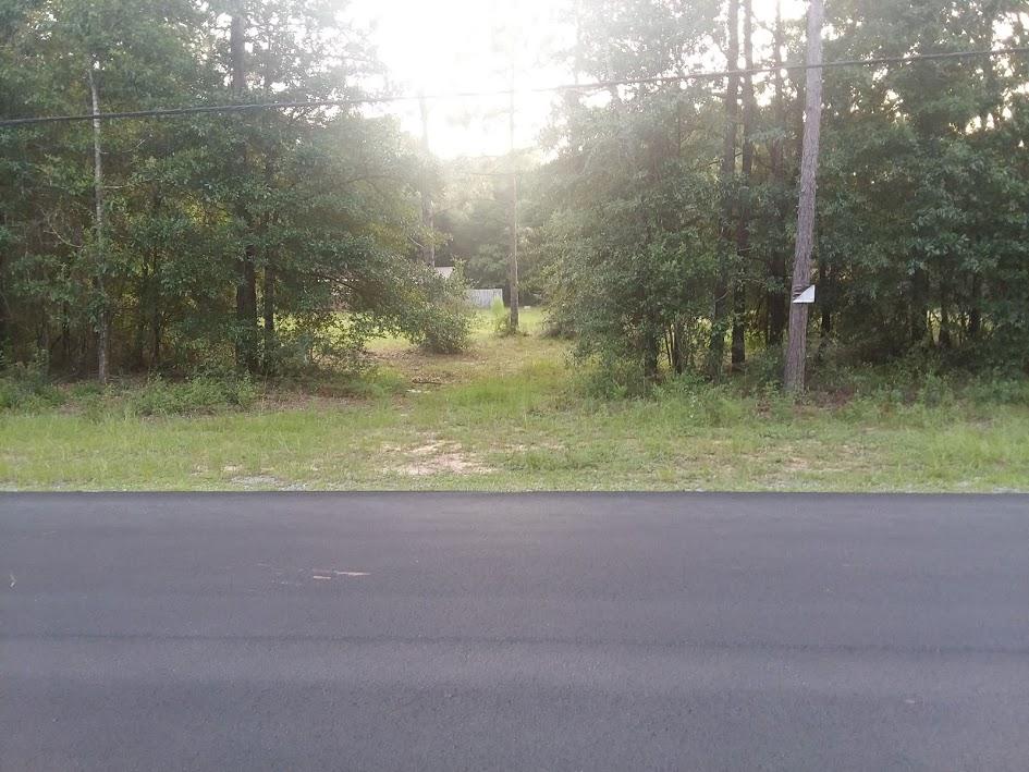 6254 Winstead Road Crestview, FL 32539 - Photo 4 of 5 a view of a yard