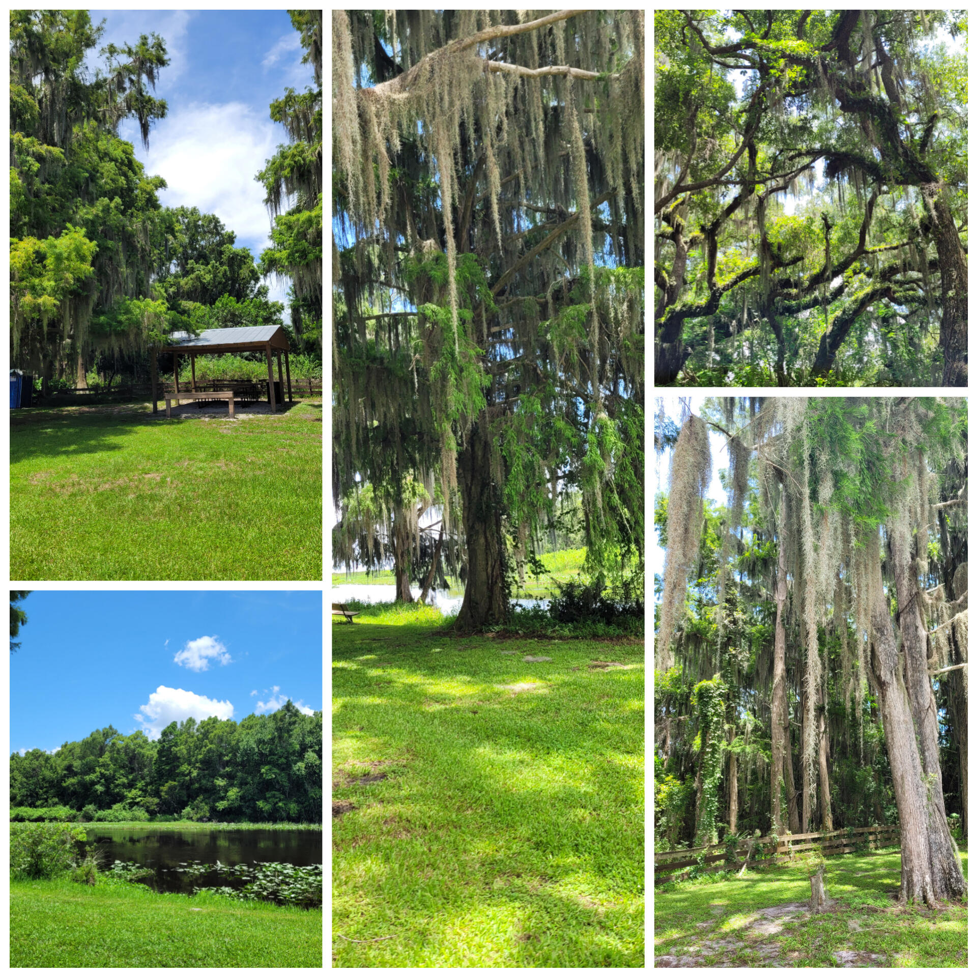 824 Spring Lake Boulevard Sebring, FL 33876 - Photo 11 of 12 inCollage_20210705_091914745