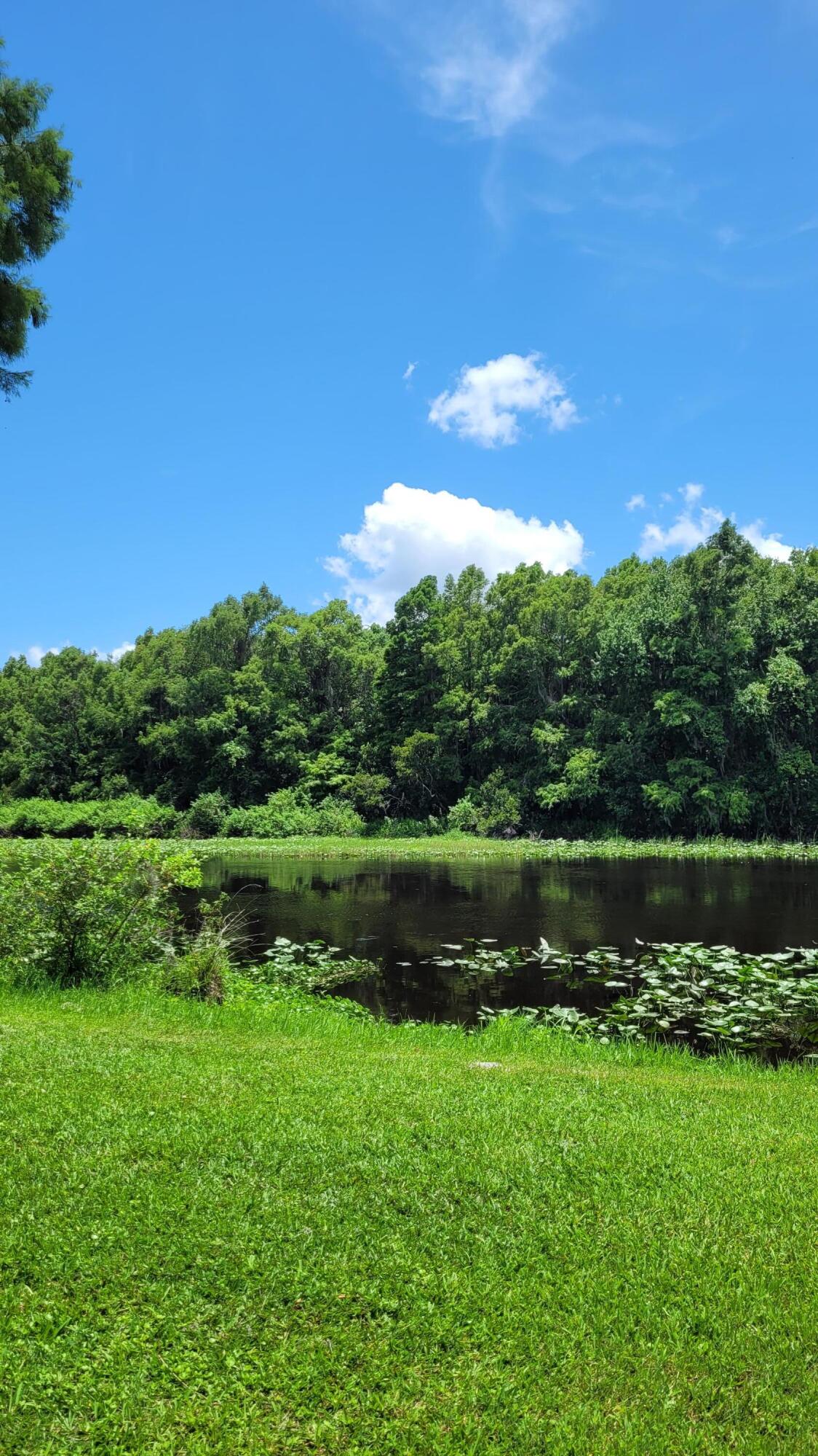 824 Spring Lake Boulevard Sebring, FL 33876 - Photo 8 of 12 20210704_140554