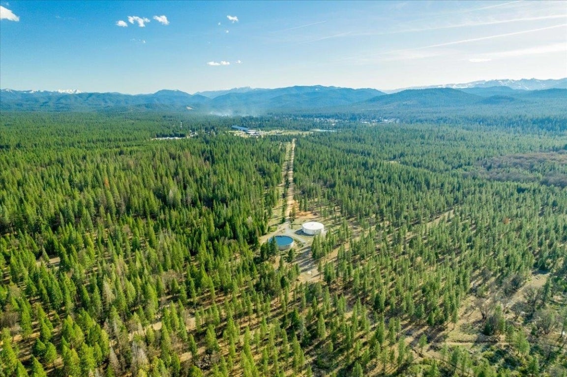 Lot West Intake Springs Road McCloud, CA 96057 - Photo 15 of 18 Gallery Image 15