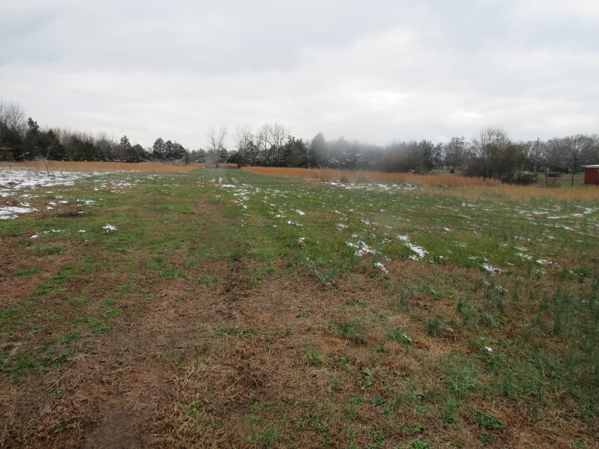 4974 Cedar Grove Road Murfreesboro, TN 37127 - Photo 13 of 34 Gallery Image 13