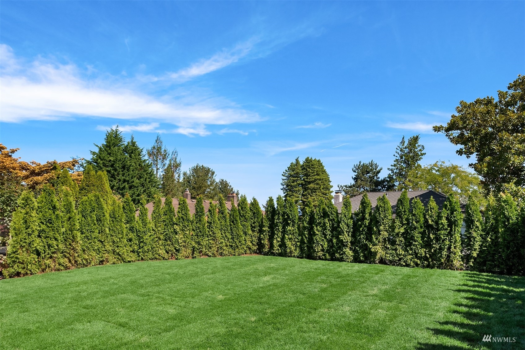 732 36th Avenue Seattle, WA 98122 - Photo 32 of 37 a view of a grassy field with trees in the background
