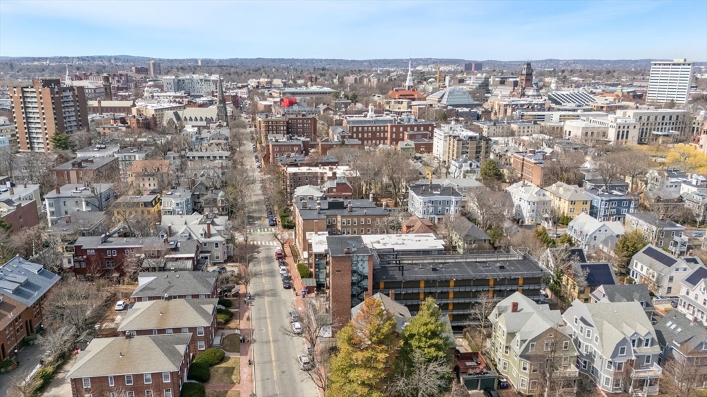 343 Harvard Street Cambridge, MA 02138 - Photo 22 of 41