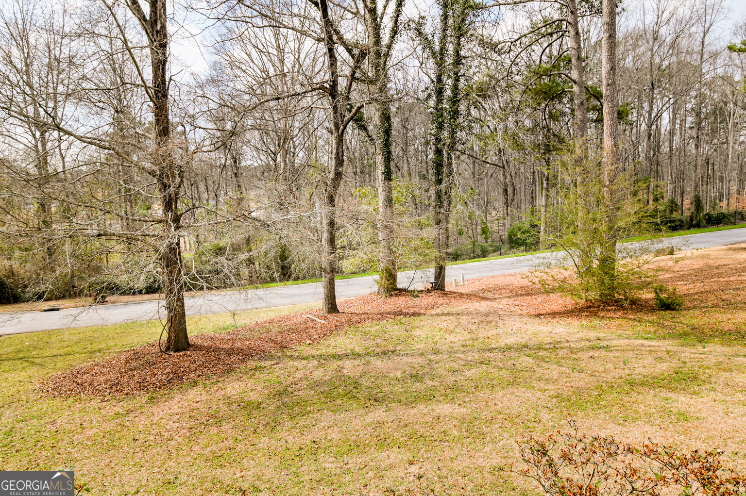 1766 Laurel Ridge Drive Southwest Conyers, GA 30094 - Photo 43 of 61 a view of yard with tree