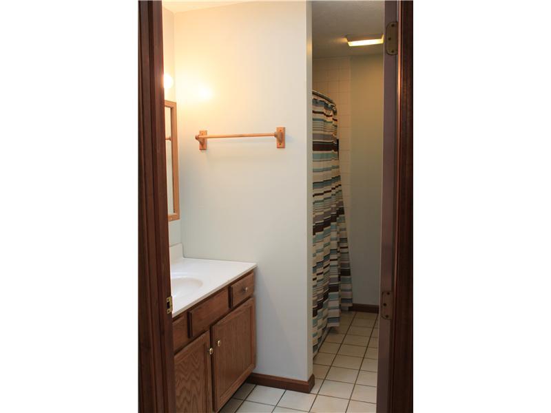 489 Clearfield Road Cabot, PA 16023 - Photo 10 of 18 Master Bath/Spa.