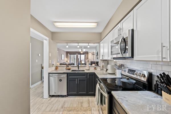 203 Manor Drive Forest, VA 24551 - Photo 8 of 24