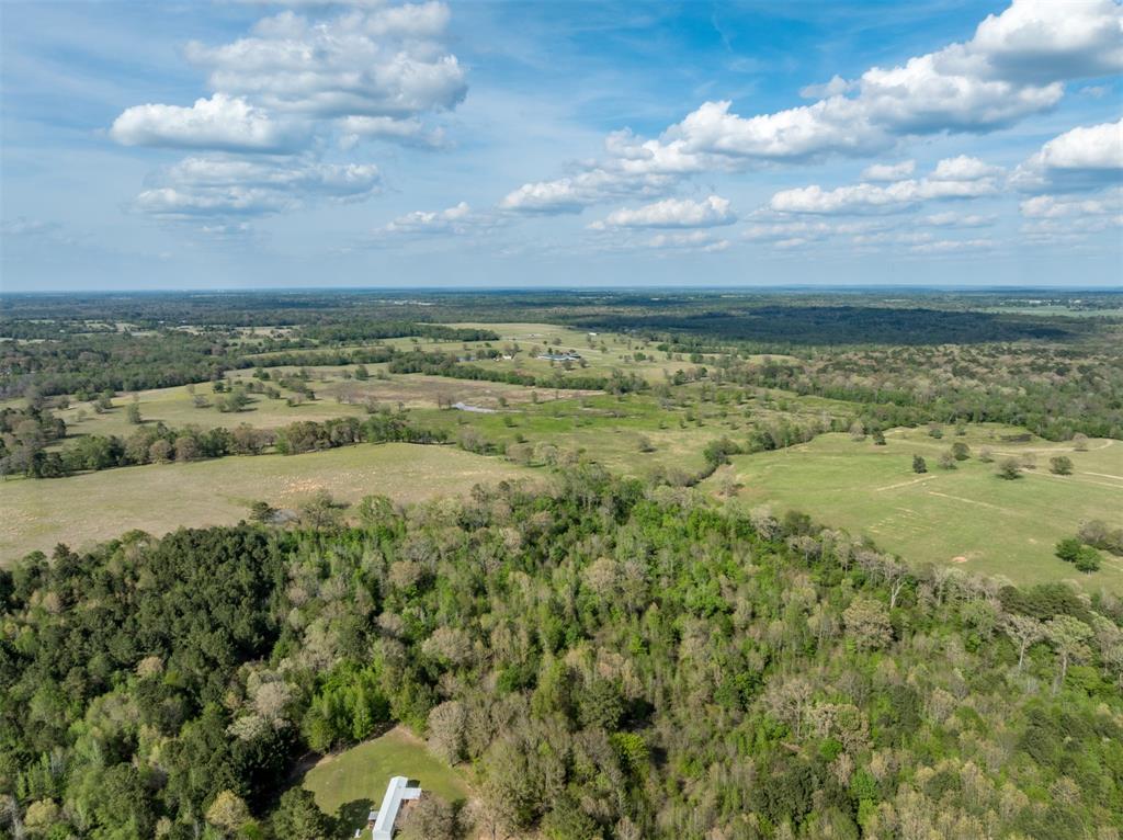 0 White Tail Road Gilmer, TX 75644 - Photo 3 of 11