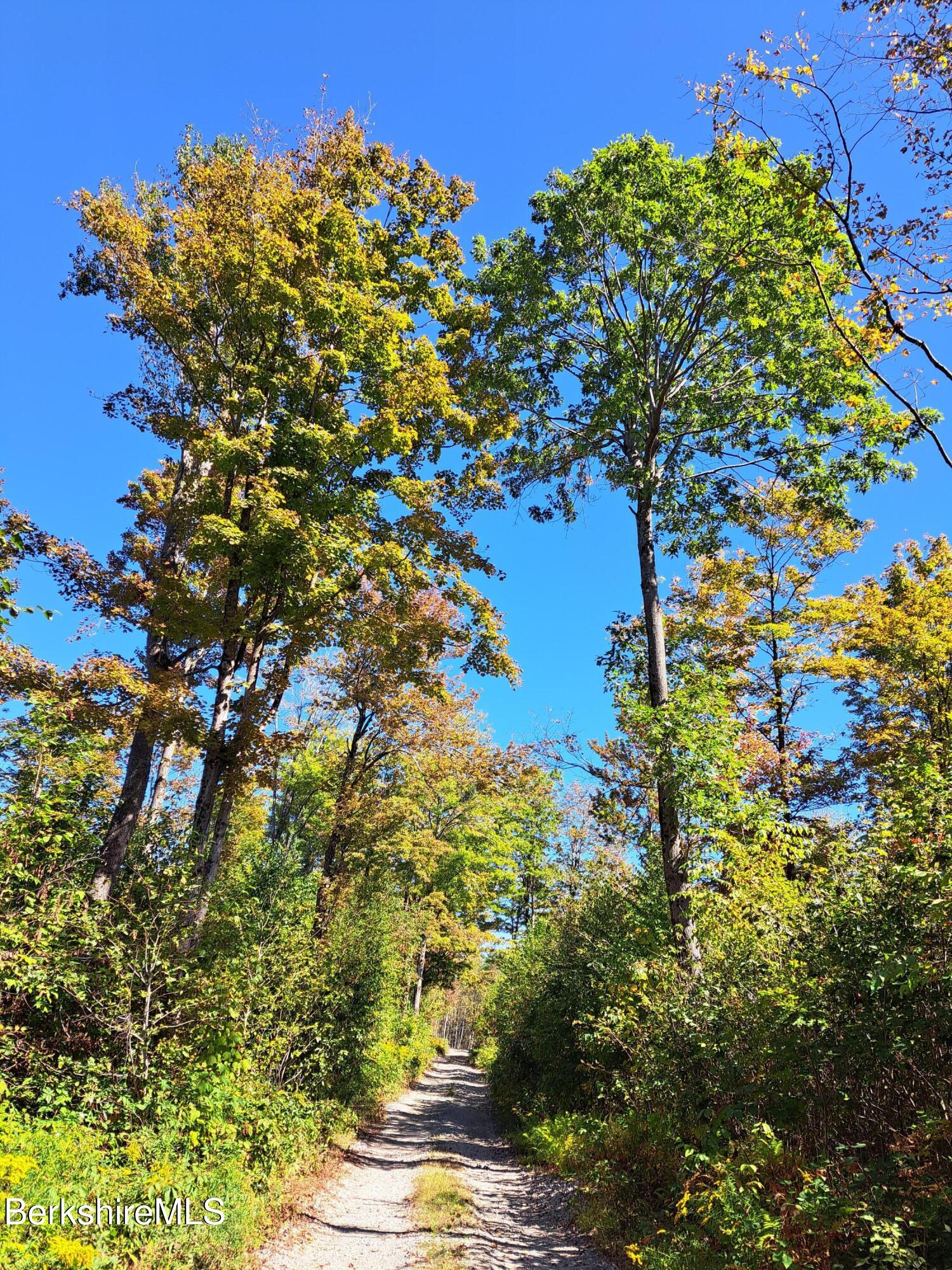 Lot ''b'' Beulah Land Road Blandford, MA 01008 - Photo 15 of 18 15-20250920_133415