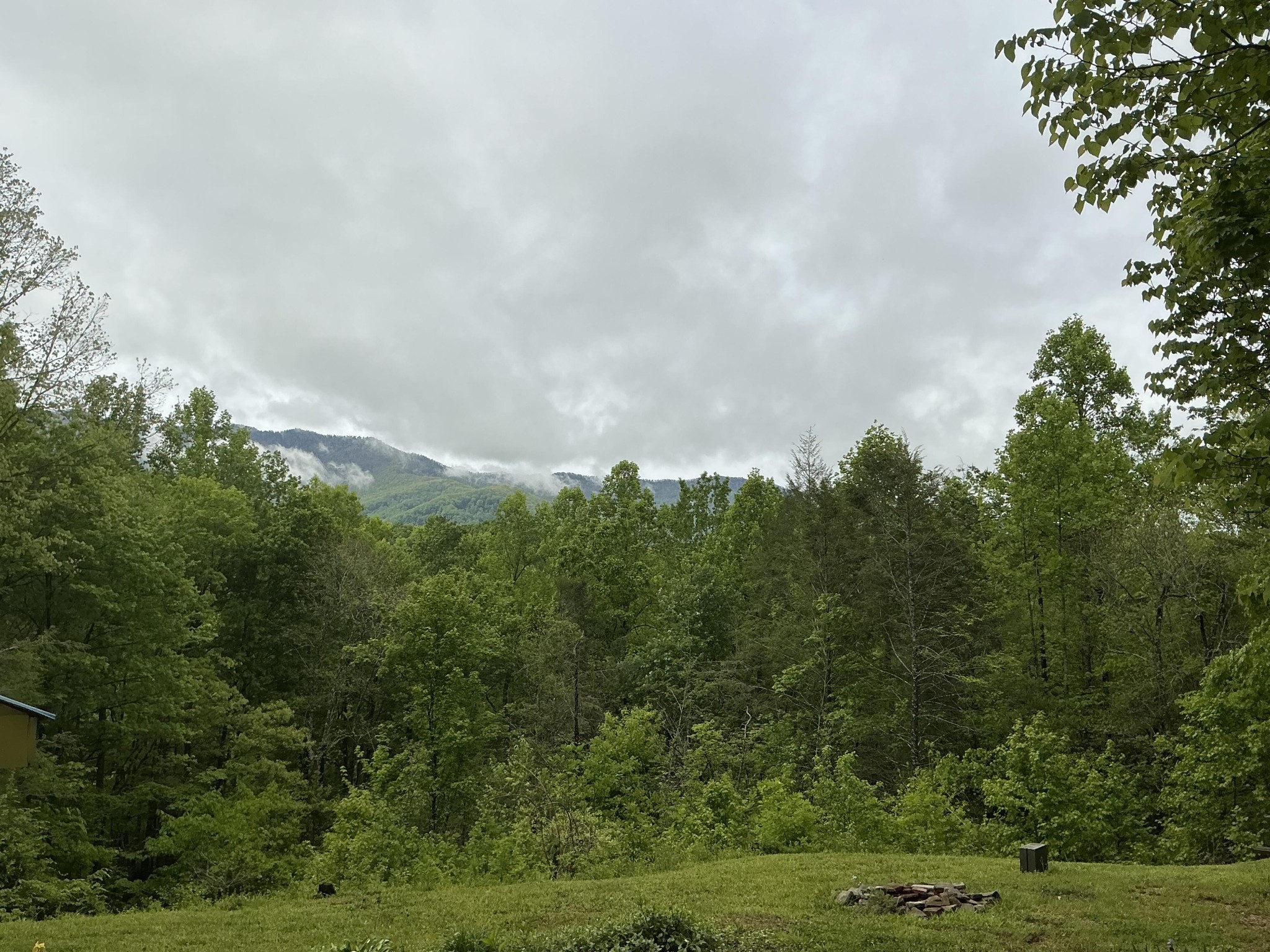 5475 Otto Williams Road Cosby, TN 37722 - Photo 5 of 46