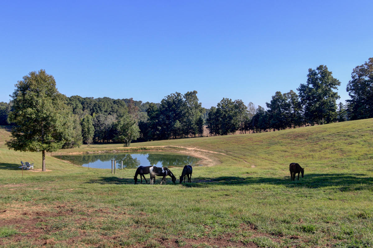 1821 Lynn Road Philadelphia, TN 37846 - Photo 31 of 38 + Perceptions (28)