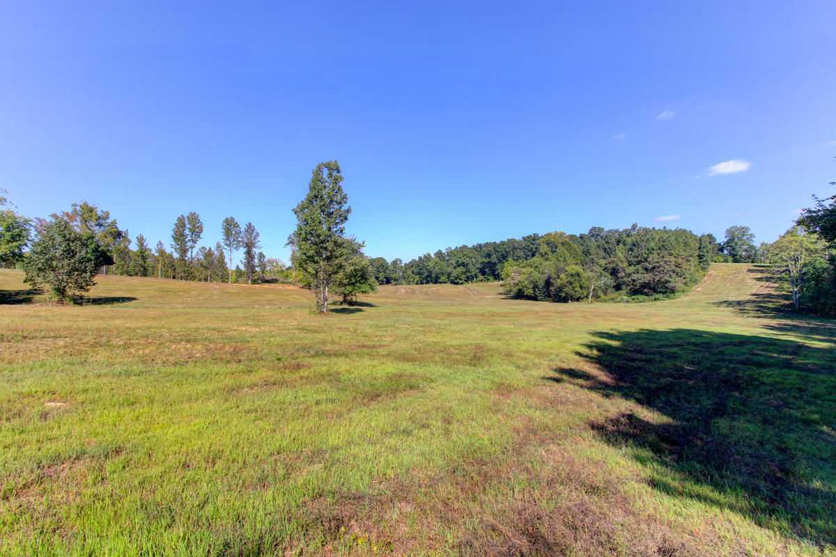 1821 Lynn Road Philadelphia, TN 37846 - Photo 35 of 38 + Perceptions (32)