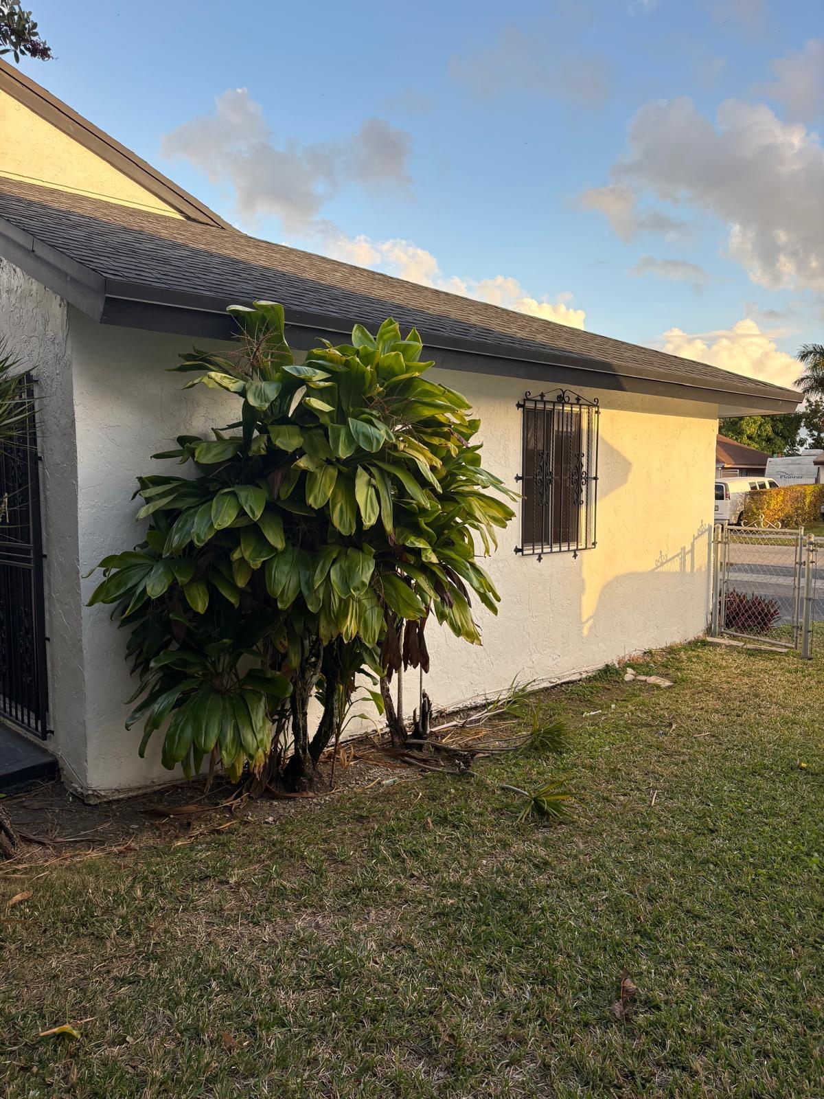 12231 Southwest 210th Street Miami, FL 33177 - Photo 37 of 38 a picture of a yard