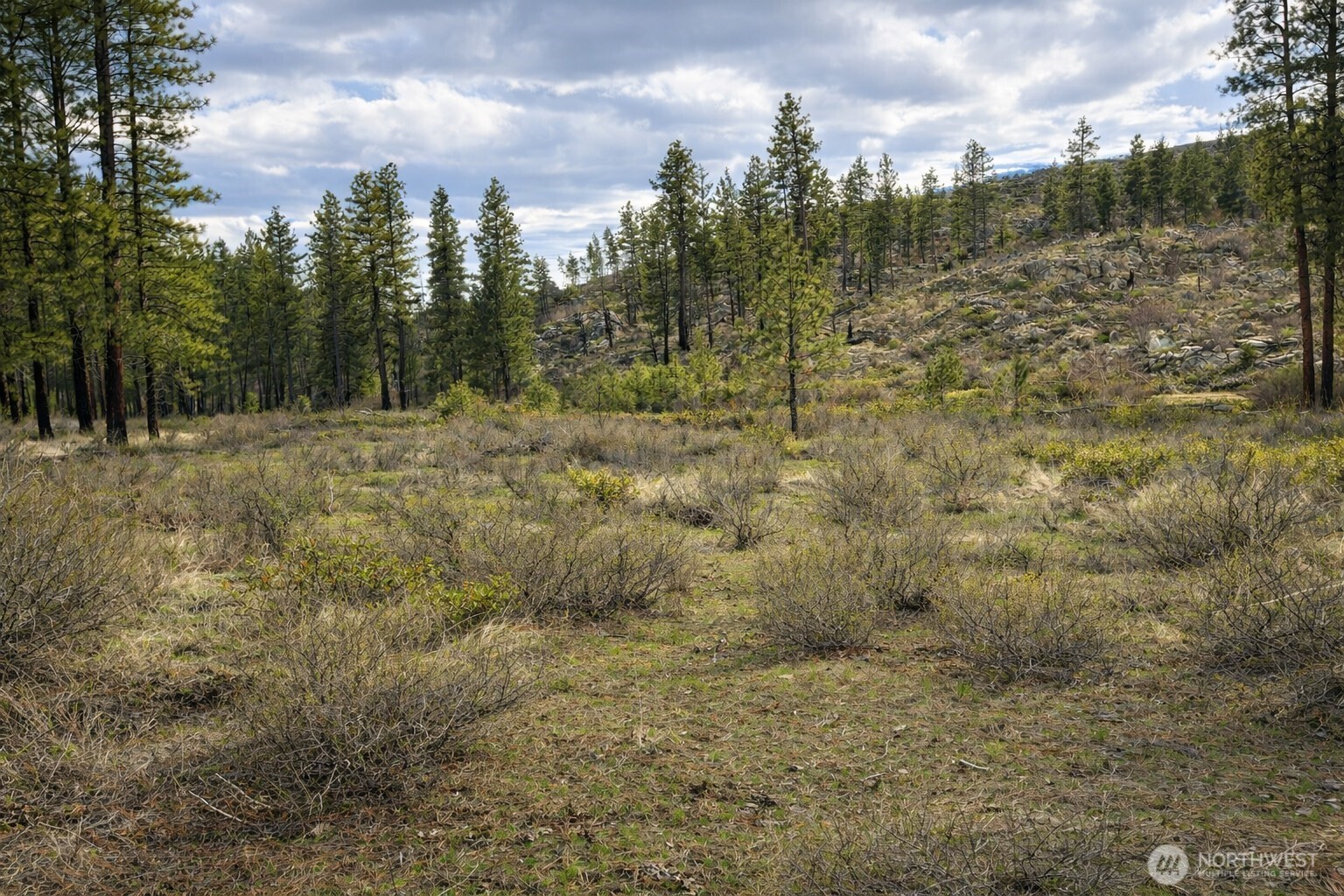 1 North Cook Mountain Road Malott, WA 98829 - Photo 1 of 6