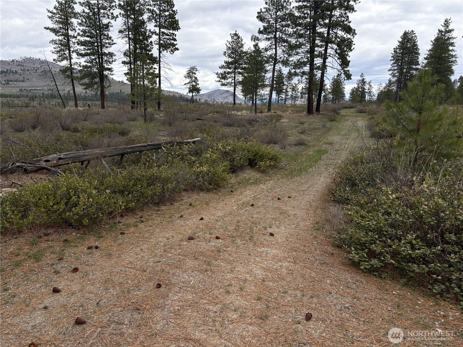 1 North Cook Mountain Road Malott, WA 98829 - Photo 2 of 6