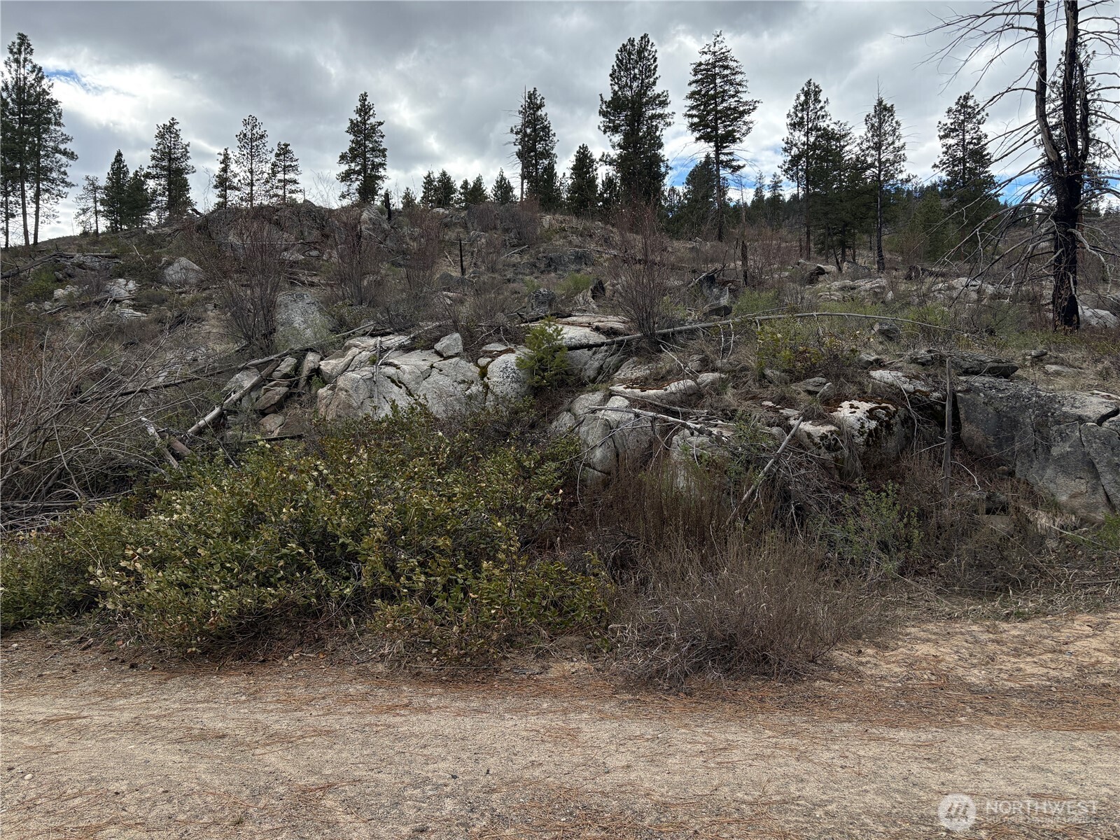 1 North Cook Mountain Road Malott, WA 98829 - Photo 4 of 6