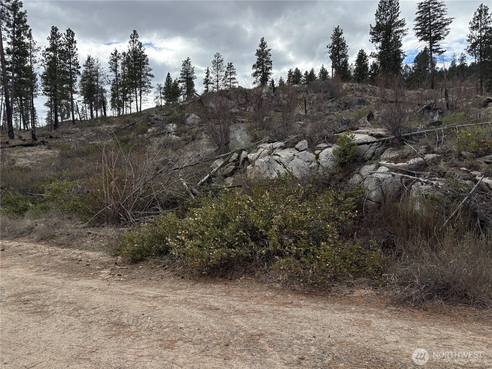1 North Cook Mountain Road Malott, WA 98829 - Photo 5 of 6