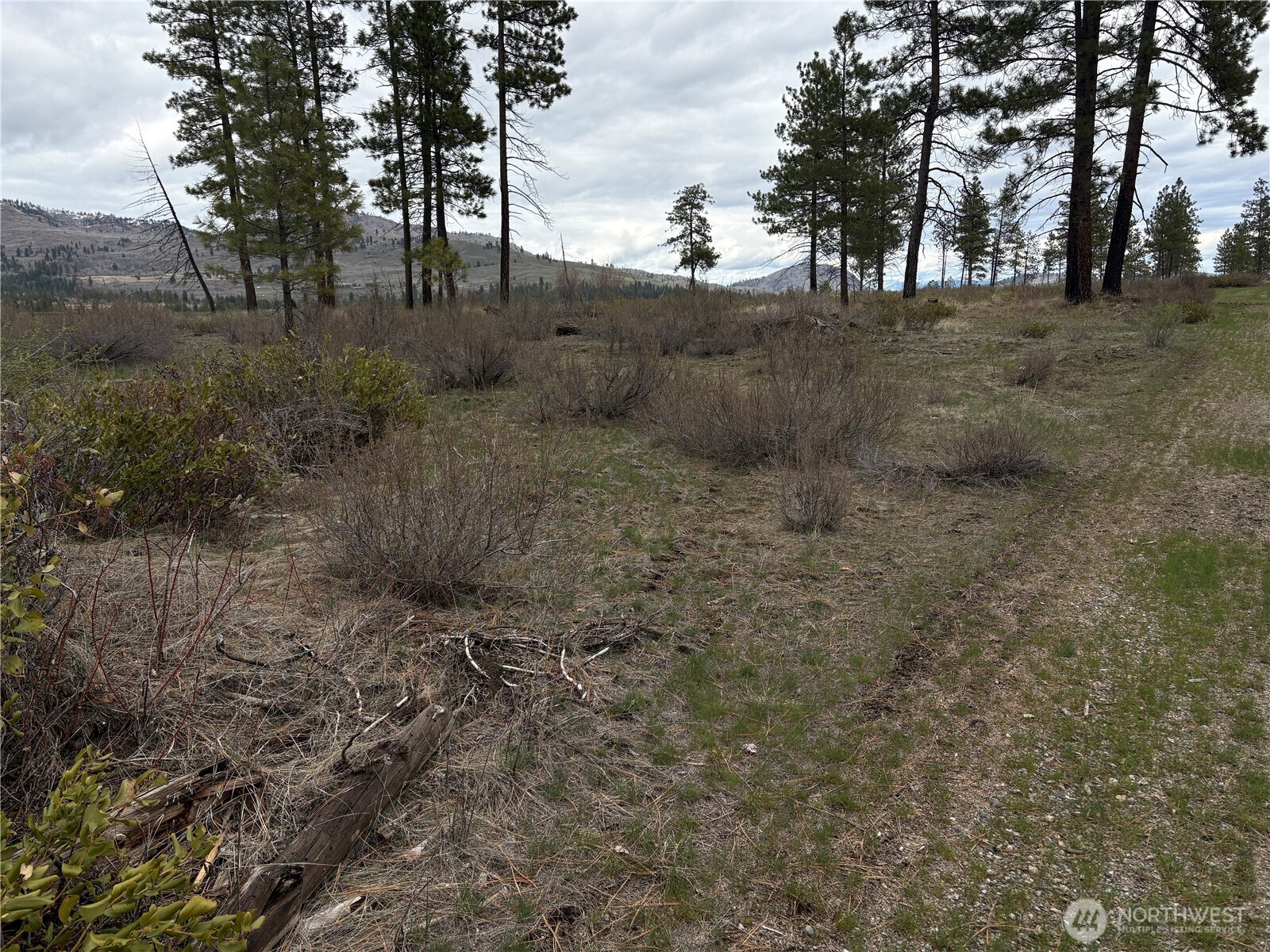 1 North Cook Mountain Road Malott, WA 98829 - Photo 6 of 6
